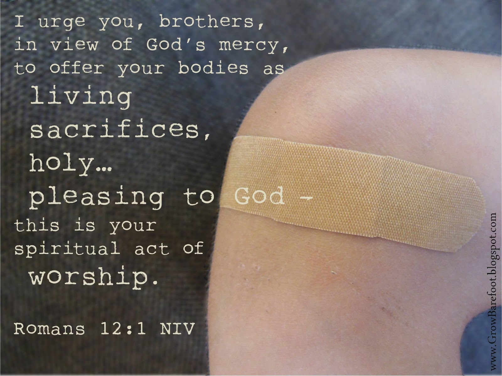 What Does Bands Mean In The Bible at Christine Merwin blog