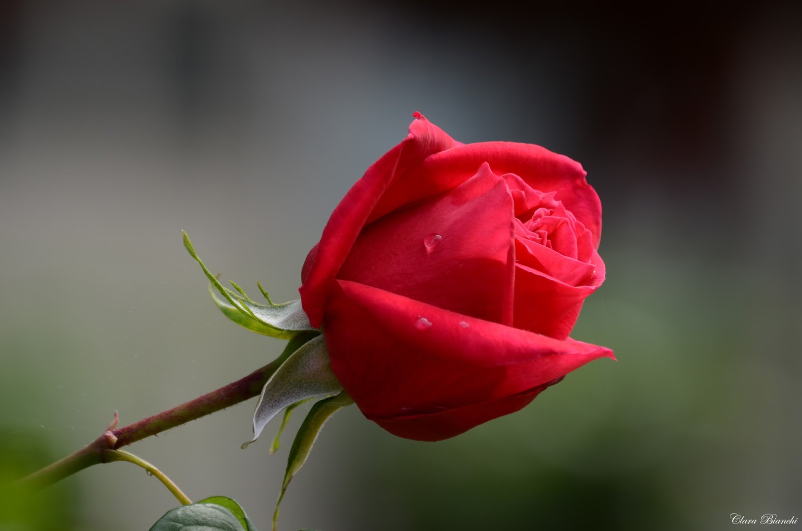 come posso dimenticare un amore finito