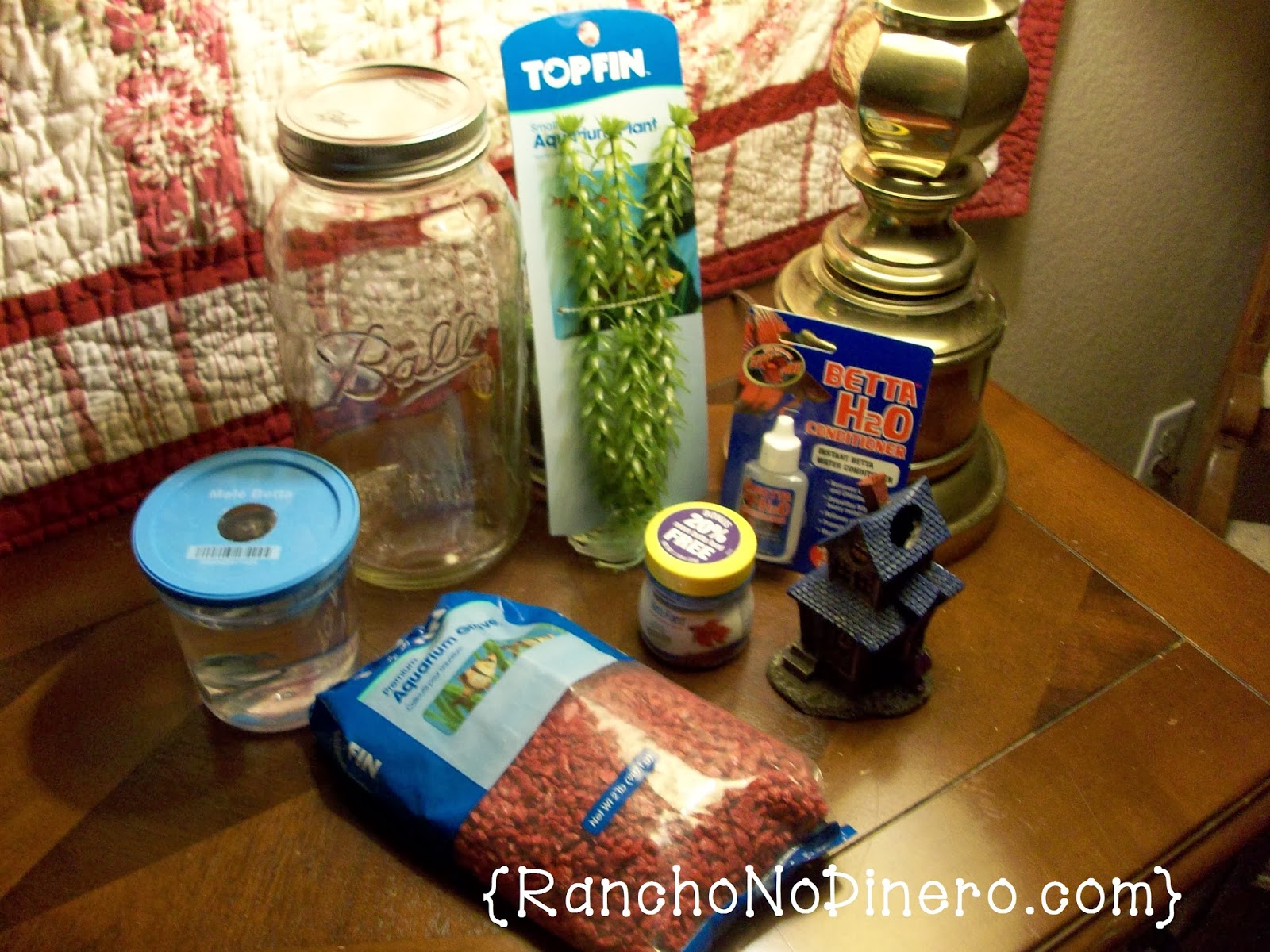 Tiny House Homestead October 2013