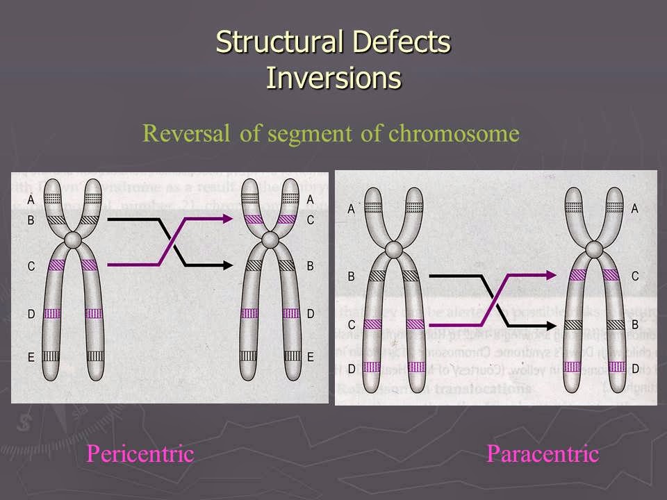 Slide 38