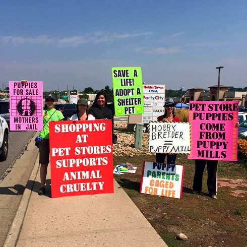 pet store protest no more puppy mills 