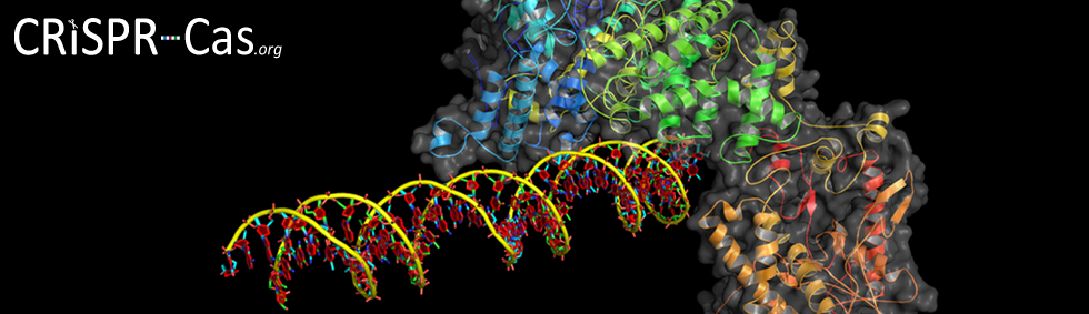 CRISPR-Cas.org