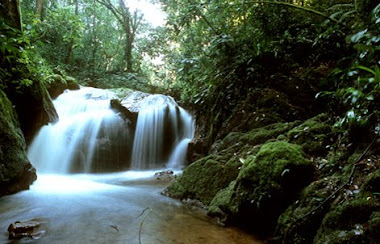 Amazon rainforest waterfall