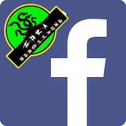 PAGINA FACEBOOK