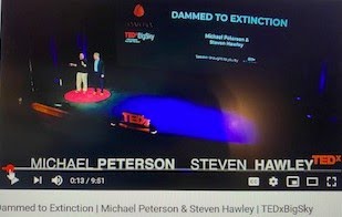 Dammed to Extinction TED Talk