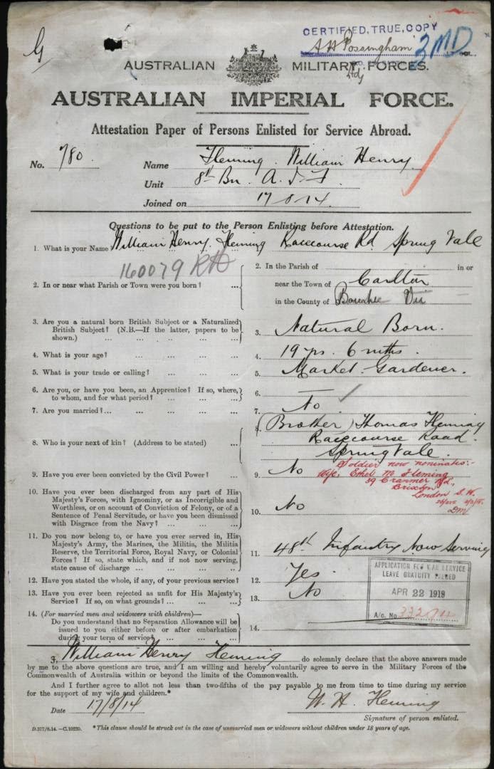 Henry fleming the youth picture