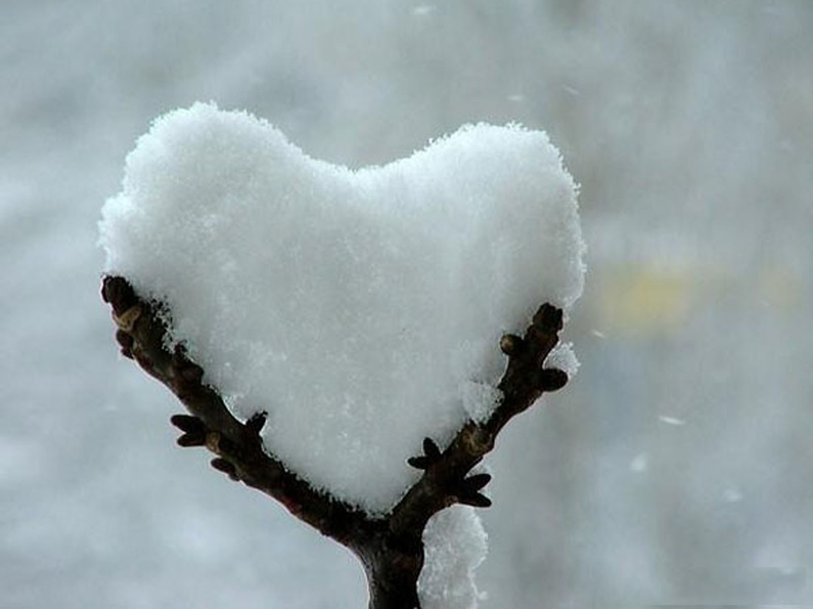 Beautiful Nature Wallpapers Beautiful Nature Wallpapers
