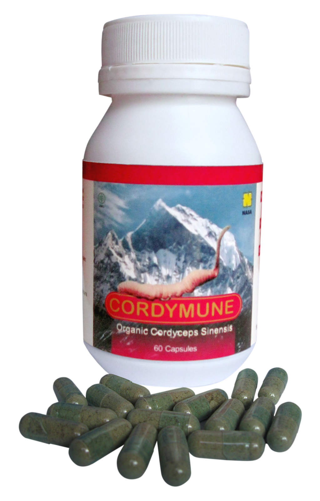 cordymune, cordymune asli, cordymune original, cordymune nasa, distributor cordymune, cordymune jogja, manfaat cordymune, khasiat cordymune, toko kasimura, kasimura herbal