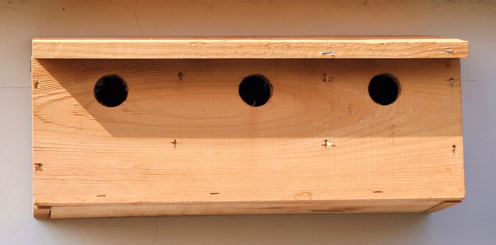 House+Sparrow+Community+Colony+Nest+boxes.JPG