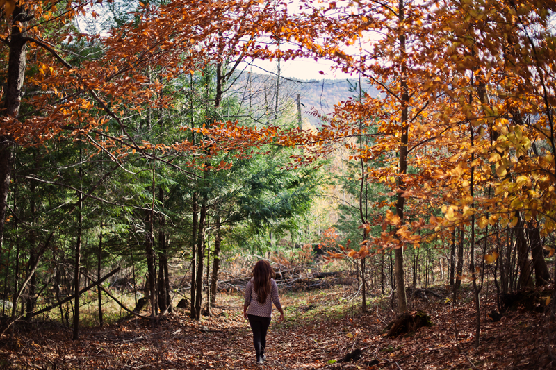 sending postcards take a hike