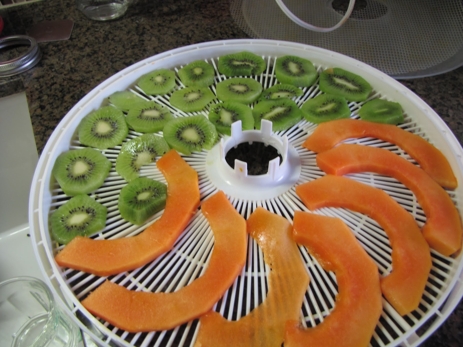 PREPARE TODAY Dehydrating Fruit