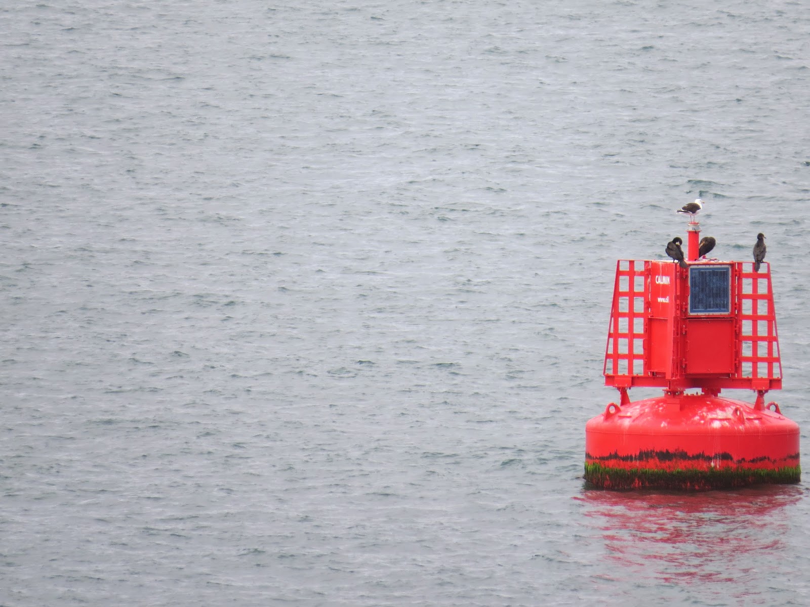 Pete's Irish Lighthouses Rosslare Sea Buoys
