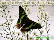 Quotes About Friendship (A Lot!) (friendship wallpaper )
