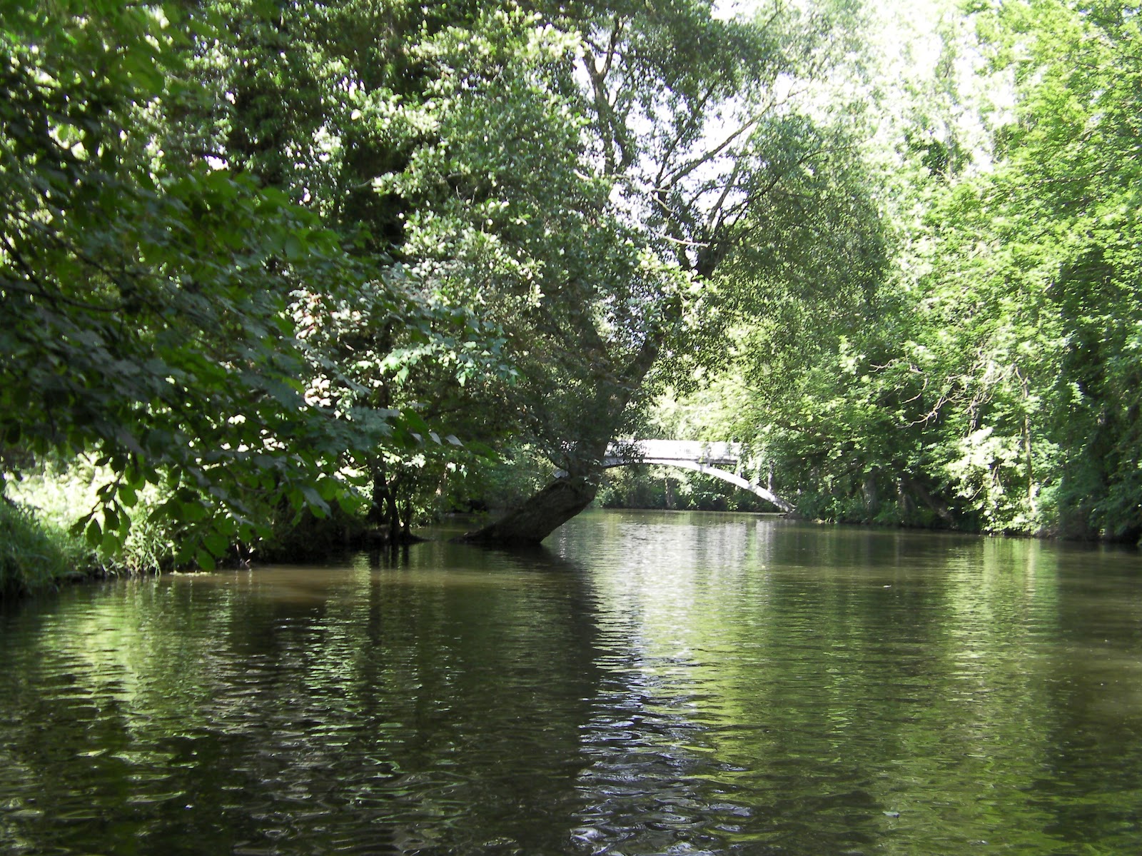 Las fotos de mis viajes Un viaje a Dinamarca con niños