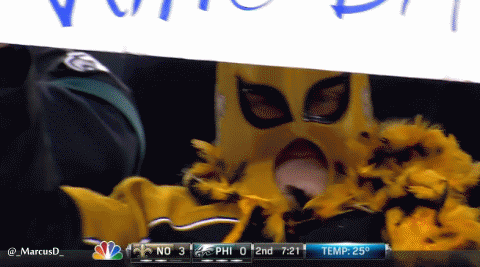 Saints fan