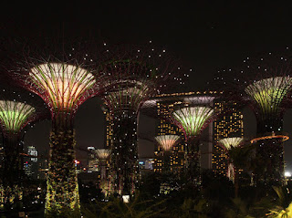 Gardens by the Bay Supertree Grove