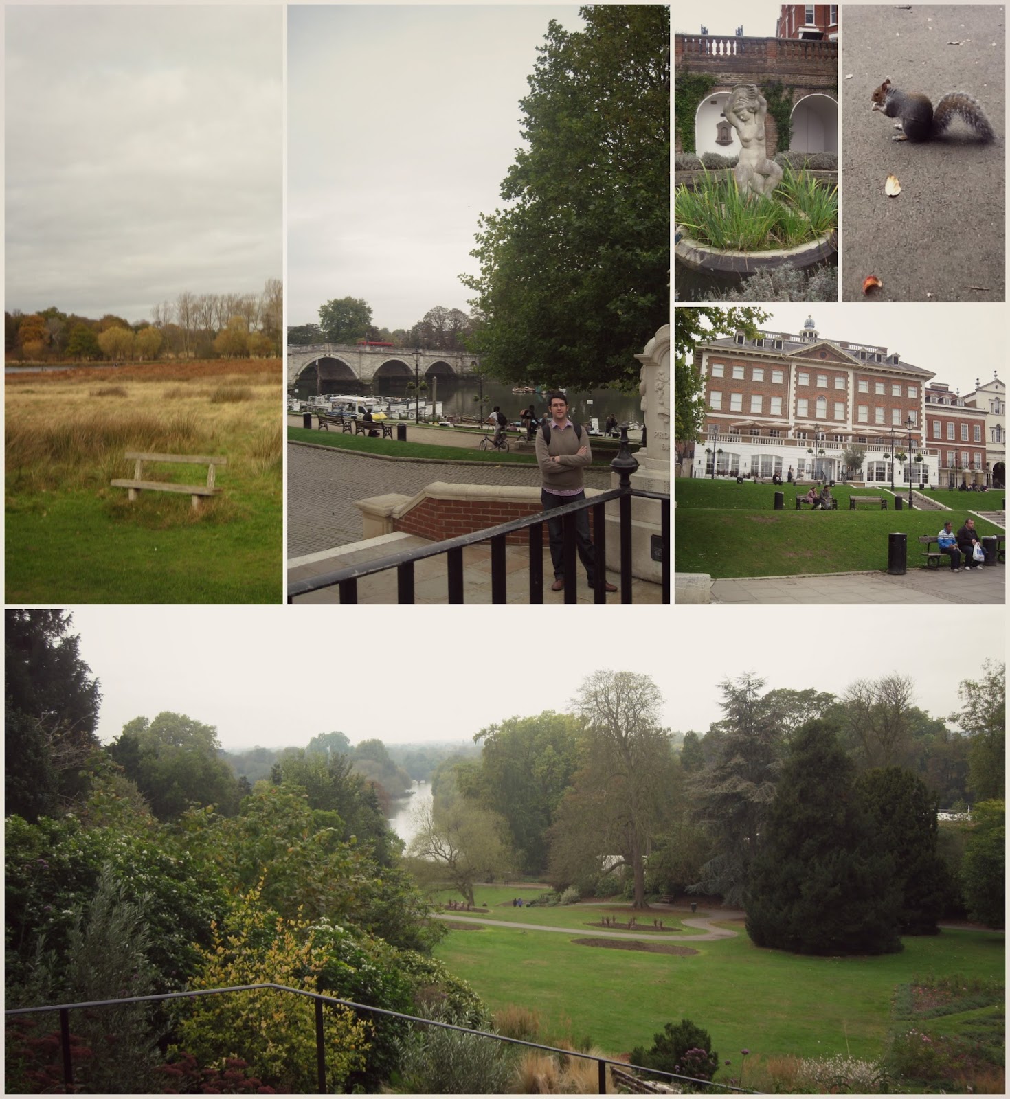 Calabacín y pollo al curry