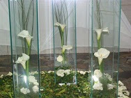 Dicas de Decoração com Vasos Decoração com Vasos de Vidro para Casa