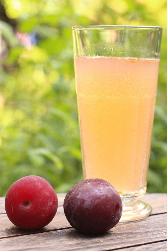 Un peu gay dans les coings... Soda à la prune (fermentation au petit