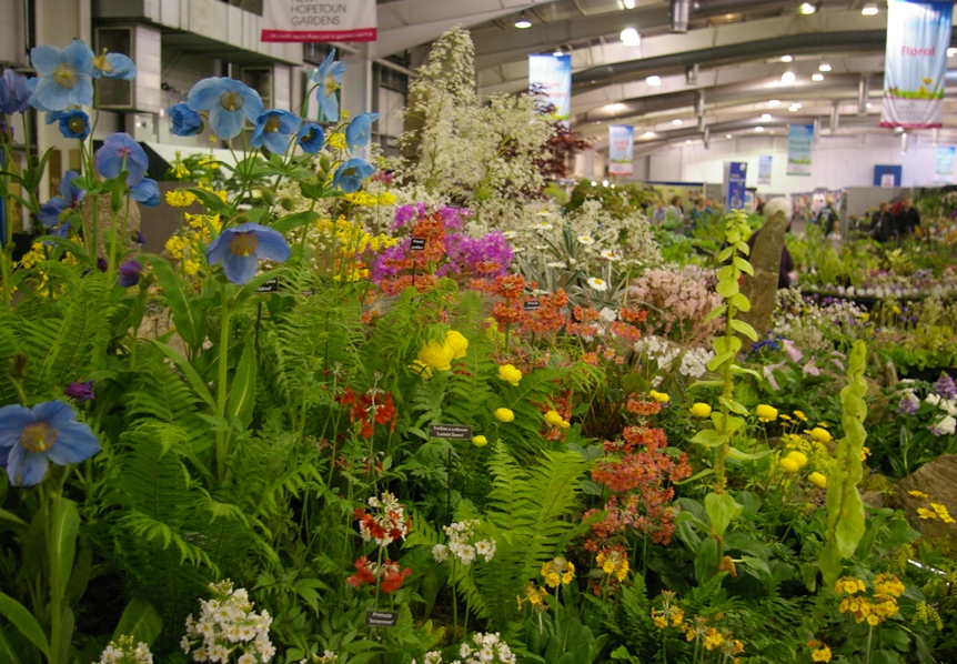 Gardening For Beginners Scotland