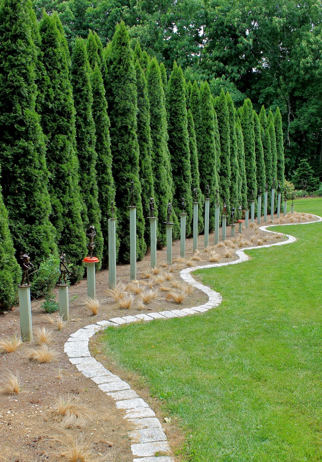 Urban Landscape Native Landscape Shrubs For Shade