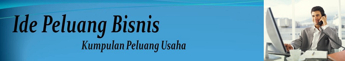 Ide Peluang Bisnis