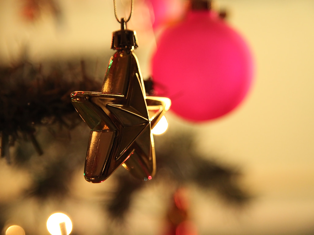 Regensburger Tagebuch Regensburger Antikmarkt Gut Besucht