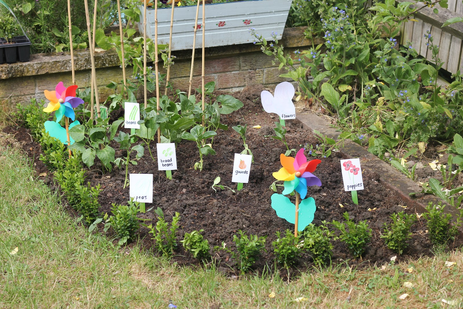 Children’s Survival Garden KIT Keep The Kids Busy Blooming Marvellous Gift VEG 