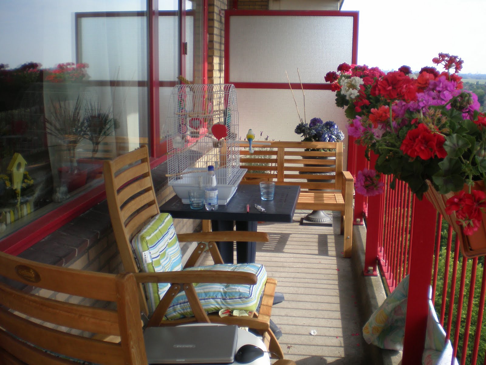 At bo i holland: juni 2011
