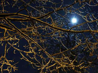 See To World: 08/21/11