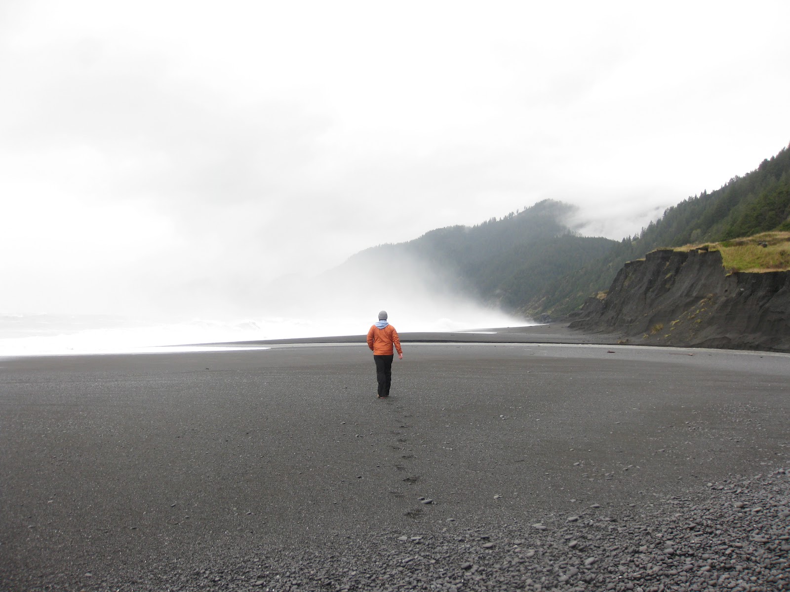 We Be Trekkin Lost Coast Shelter Cove, CA