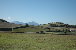 i campi nella zona elevata delle colline fields in the high hills