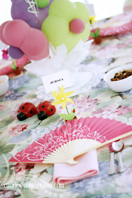 C Marie S Photography Blog Decorations Plus Findlay Party