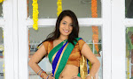 Santoshi Sharma latest Sizzling pics in half saree-thumbnail