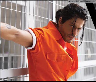 shahrukh khan and priyanka chopra hot latest pictures from don 2