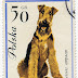 Ένα Τerrier σε γραμματόσημο !..