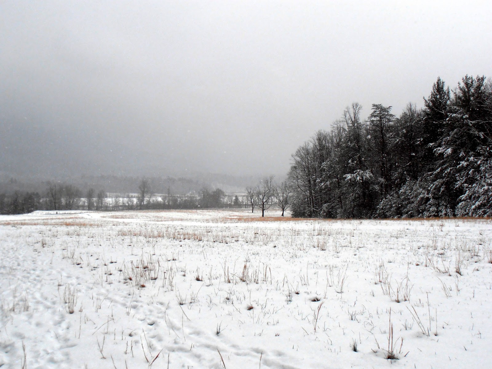 American Travel Journal Snow in Cades Cove Great Smoky Mountains