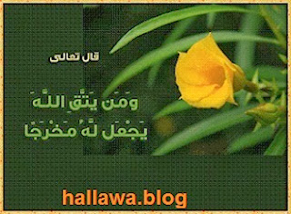 hallawa.blogspot.nl