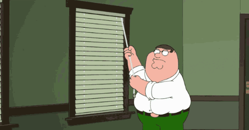 Animated Meme Peter Griffin Vs Blinds