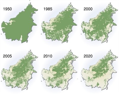 dangers of deforestation to the planet dangers of deforestation to the planet