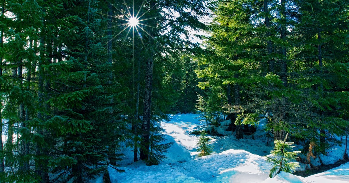 Amazing HD Wallpapers: Top 30+ HD Desktop Wallpapers 2013