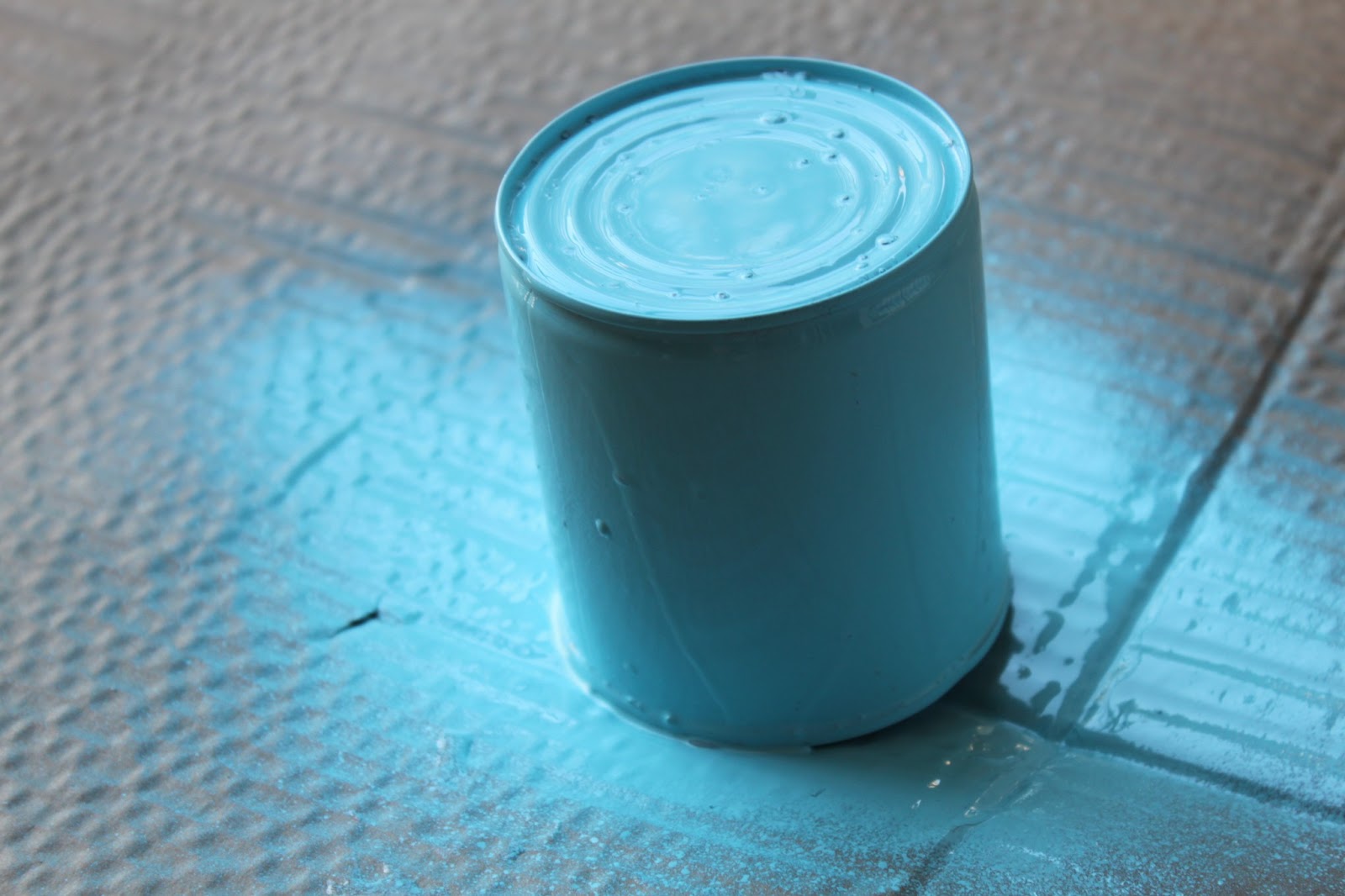 Nafisa's World DIY Craft Project Spraypainted tin cans