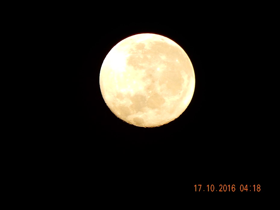 FOTO DA LUA NA AMAZONIA