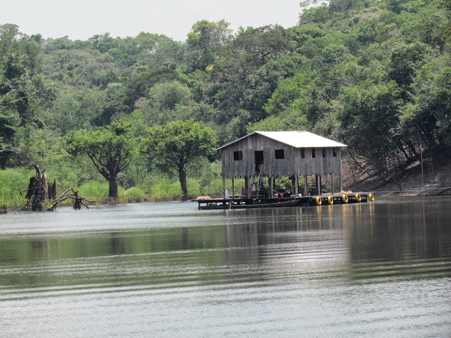 Base palafita