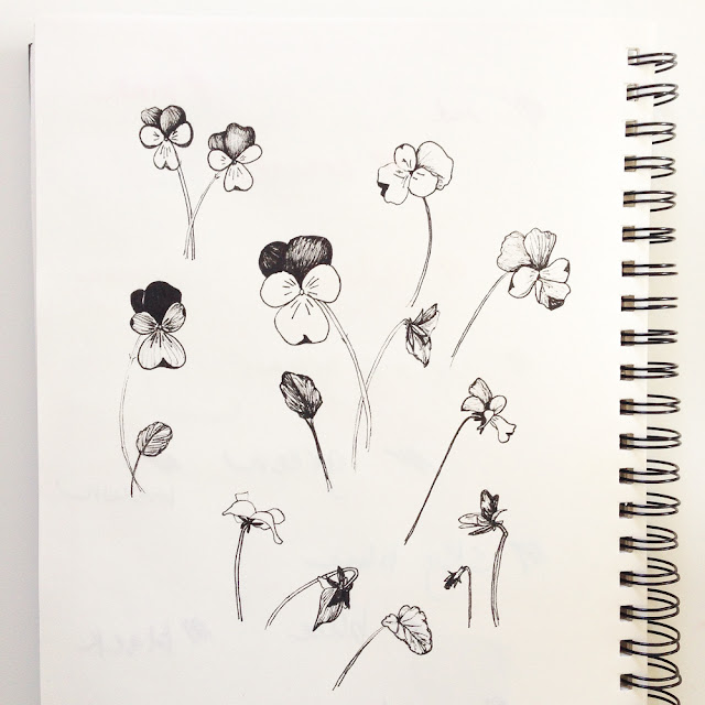 violas, micron, sketches, sketchbook, Anne Butera, My Giant Strawberry