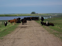 National Wildlife Refuge Welcoming Party