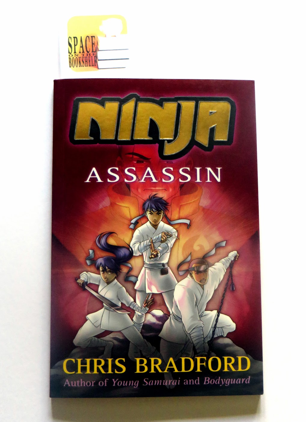 Ninja Assassin Review