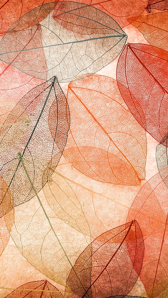 Autumn Leaves Transparent Abstract Android Wallpaper