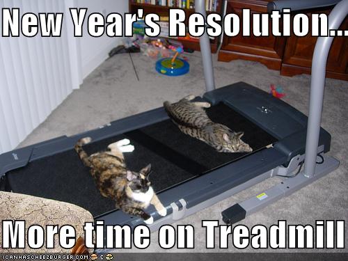 funny-pictures-resolution-cats-treadmill-717122.jpg