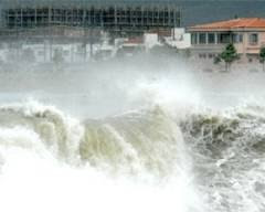 Тайфун Джелават